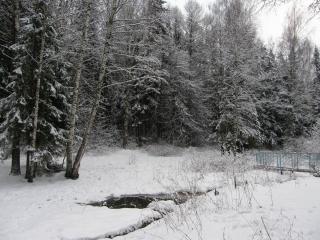 обои Мостик в зимний лес фото