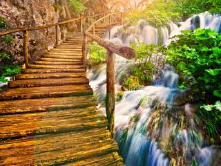 обои Деревянный мост над лесным водопадом фото