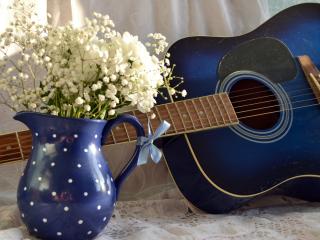 обои Синяя гитара и белые цветы в горшочке фото