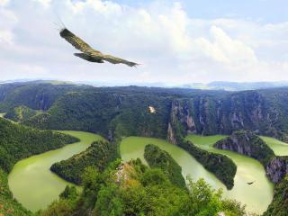 обои Русло зеленой реки с изгибами фото