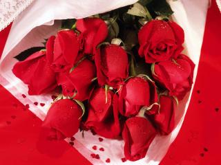 обои Букет красных роз и маленькие сердечки фото