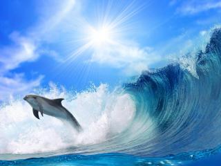 обои Дельфин уплывает от цунами фото