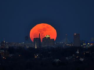 обои Бостон на фоне огненной луны фото