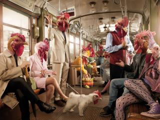 обои Вагон метро с людьми курицами и петухами фото