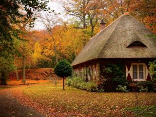 обои Одинокий дом в осеннем лесу фото