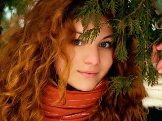 обои Рыжая девушка в еловом лесу фото
