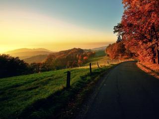 обои Осенний пейзаж у дороги на закате фото
