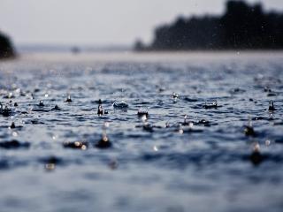обои Дождь на воде фото