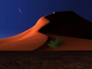 обои Песочные дюны и дерево лунной ночью фото