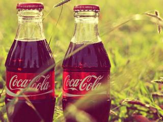 обои Coca-cola в бутылках на траве фото