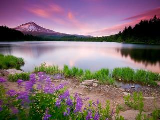 обои Красно-фиолетовый закат у озера в горах фото