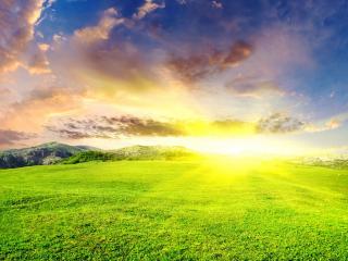 обои Ослепительное солнце над зеленой травой фото