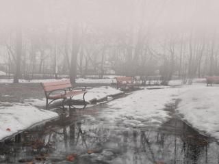 обои Туман в городском парке фото