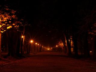 обои Фонари в ночном парке фото