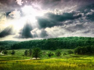 обои Свинцовые облака и лучи солнца над лесом фото