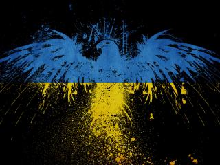 обои Орел и цвета флага  украины фото