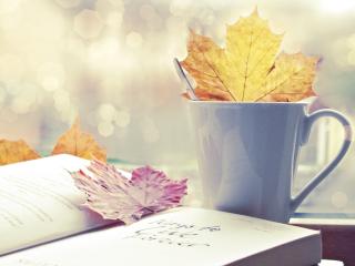 обои Осенние листья на книге и в чашке фото