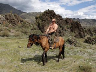 обои Владимир Путин на лошади фото