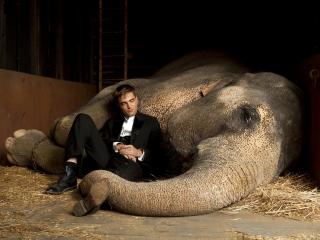 обои Роберт паттинсон у слона фото