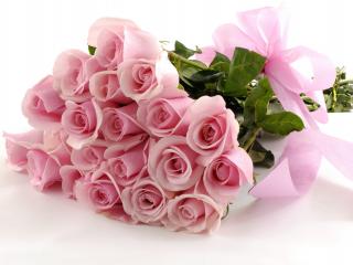 обои Розовые розы с бантиком фото