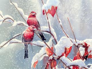обои Красные птички на ветке заснеженной фото