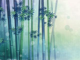 обои Рисунок деревьев бамбука фото