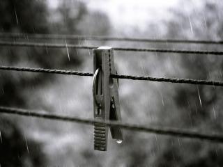 обои Прищепка на веревке в дождь фото