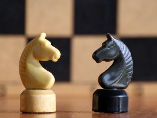 обои Шахматные  фигуры  конь чёрный и белый фото