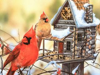 обои Птицы у заснеженного домика кормушки фото