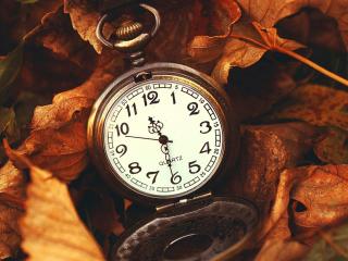обои Часы на осенних листьях фото