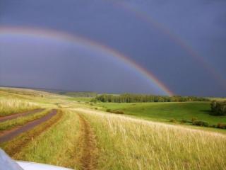 обои Дорога в поле под радугой фото