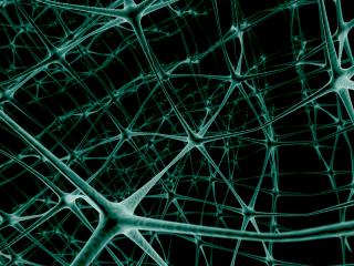 обои Нейрона сеть и связи фото