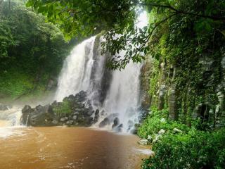 обои Игристый водопад с каменной скалы в лесу фото