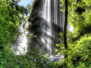 обои Освещенный солнцем водопад в лесу фото