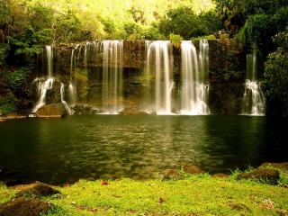 обои Водопад в райском лесном уголке фото