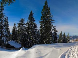 обои Зимний пейзаж в горах фото