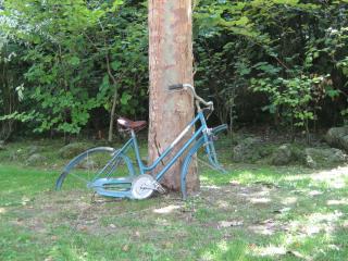обои для рабочего стола: Ретро велосипед у дерева