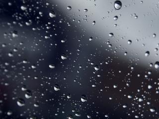 обои Капли дождя на сером фоне фото