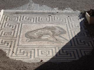 обои Старинные рисунки мозаики в Помпеи фото