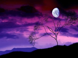 обои Закат,   луна,   деревце,   темная земля фото