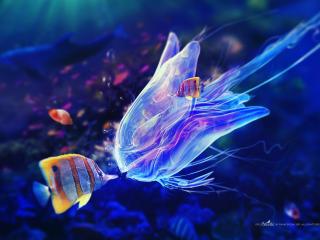 обои Рыба и медуза фото