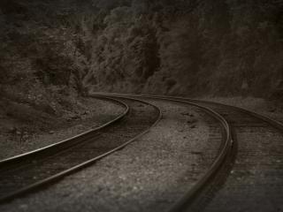 обои для рабочего стола: Железная дорога,   лес,   поздний вечер,   черно-белое фото