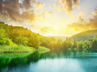 обои Закат освещает летний лес и озеро,   зелень фото
