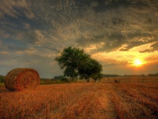 обои Тюки сена,   поле,   закат,   облака фото