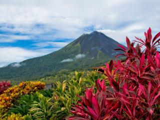 обои Вулкан и цветы фото