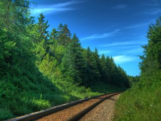 обои Рельсы,   железная дорога,   летний лес,   ясное небо фото