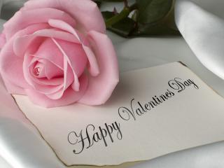 обои для рабочего стола: День Св. Валентина - Нежная роза и поздравление