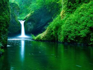 обои Маленький водопад впадающий в реку,   заросли зелени фото