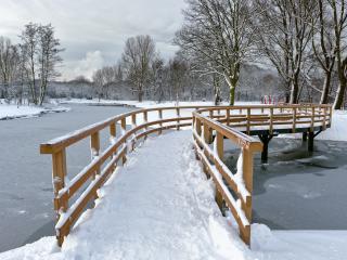обои Мост из светлого дерева через зимний пруд в парке фото