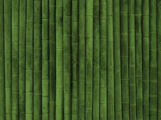 обои Бледно зеленый фон из бамбука фото